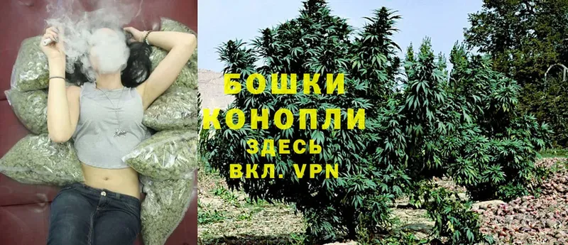 Бошки Шишки OG Kush  площадка какой сайт  Армянск  закладки 